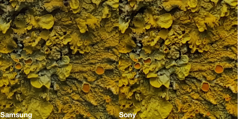 Illustration for article titled La diferencia entre sensores del Galaxy S6 es tan ínfima que no importa